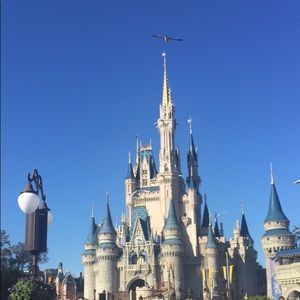 Meet your Posher, Lucy